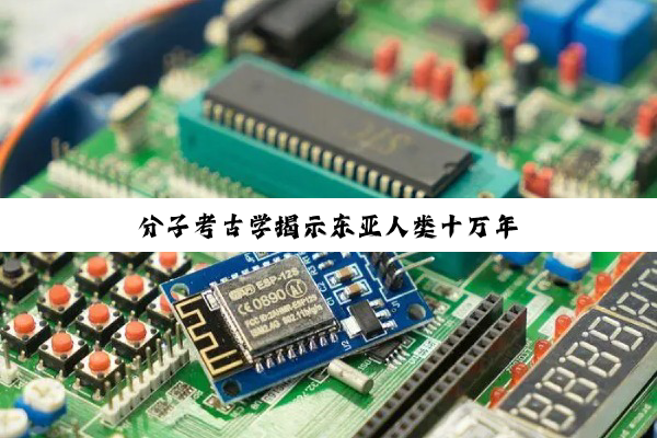 分子考古学揭示东亚人类十万年