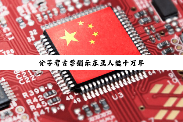分子考古学揭示东亚人类十万年
