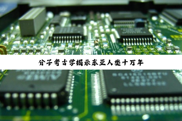 分子考古学揭示东亚人类十万年