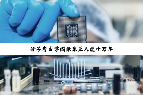 分子考古学揭示东亚人类十万年