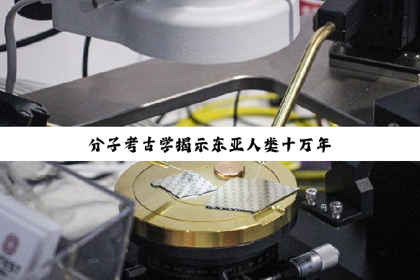 分子考古学揭示东亚人类十万年