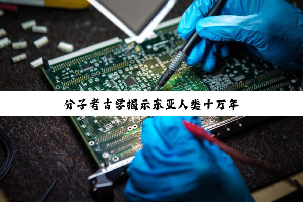 分子考古学揭示东亚人类十万年