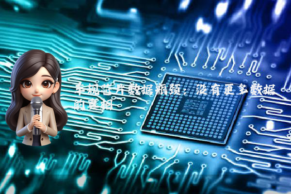 车规芯片数据瓶颈：没有更多数据的真相