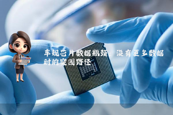 车规芯片数据瓶颈:没有更多数据时的突围路径